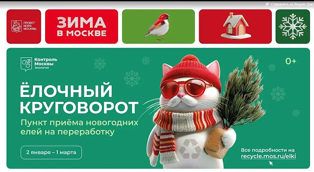Пункт приема новогодних елей на переработку